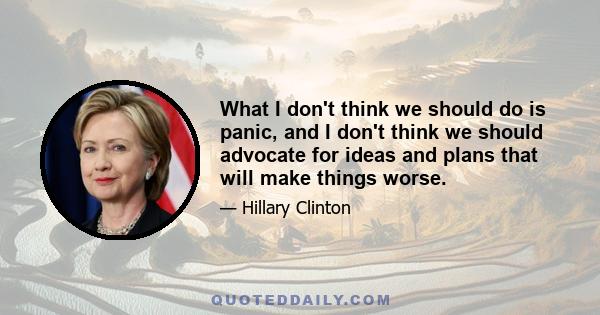 What I don't think we should do is panic, and I don't think we should advocate for ideas and plans that will make things worse.