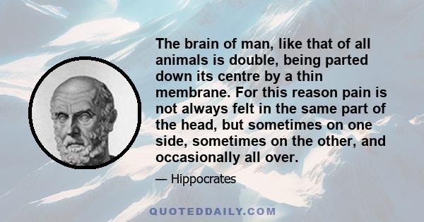 The brain of man, like that of all animals is double, being parted down its centre by a thin membrane. For this reason pain is not always felt in the same part of the head, but sometimes on one side, sometimes on the