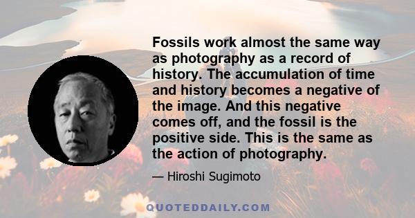 Fossils work almost the same way as photography as a record of history. The accumulation of time and history becomes a negative of the image. And this negative comes off, and the fossil is the positive side. This is the 