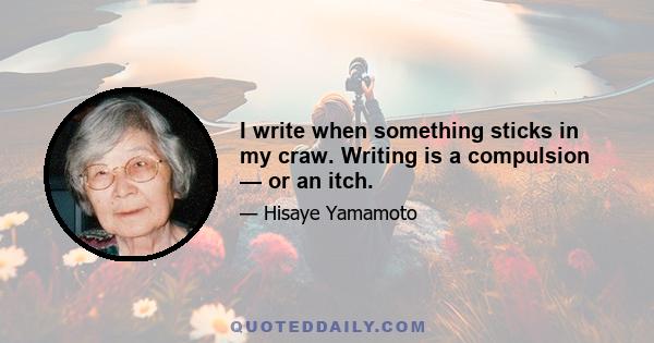 I write when something sticks in my craw. Writing is a compulsion — or an itch.