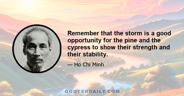 Remember that the storm is a good opportunity for the pine and the cypress to show their strength and their stability.