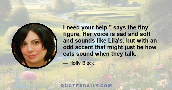 I need your help, says the tiny figure. Her voice is sad and soft and sounds like Lila's, but with an odd accent that might just be how cats sound when they talk.