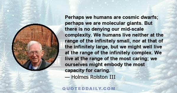 Perhaps we humans are cosmic dwarfs; perhaps we are molecular giants. But there is no denying our mid-scale complexity. We humans live neither at the range of the infinitely small, nor at that of the infinitely large,