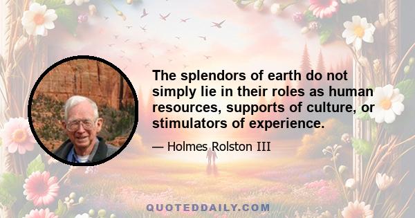 The splendors of earth do not simply lie in their roles as human resources, supports of culture, or stimulators of experience.