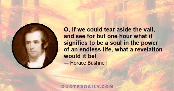 O, if we could tear aside the vail, and see for but one hour what it signifies to be a soul in the power of an endless life, what a revelation would it be!