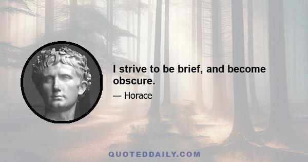 I strive to be brief, and become obscure.