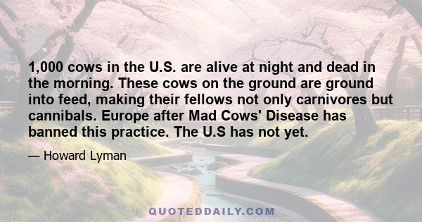 1,000 cows in the U.S. are alive at night and dead in the morning. These cows on the ground are ground into feed, making their fellows not only carnivores but cannibals. Europe after Mad Cows' Disease has banned this