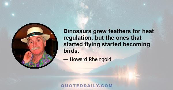 Dinosaurs grew feathers for heat regulation, but the ones that started flying started becoming birds.