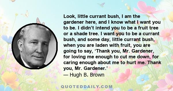 Look, little currant bush, I am the gardener here, and I know what I want you to be. I didn’t intend you to be a fruit tree or a shade tree. I want you to be a currant bush, and some day, little currant bush, when you