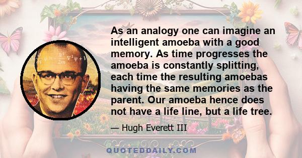 As an analogy one can imagine an intelligent amoeba with a good memory. As time progresses the amoeba is constantly splitting, each time the resulting amoebas having the same memories as the parent. Our amoeba hence