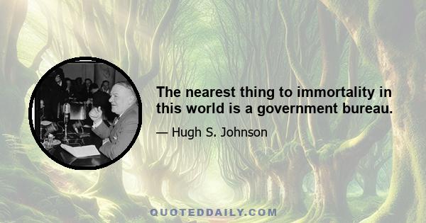 The nearest thing to immortality in this world is a government bureau.