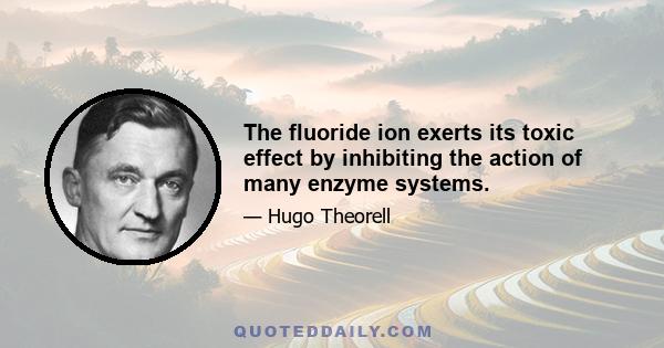 The fluoride ion exerts its toxic effect by inhibiting the action of many enzyme systems.