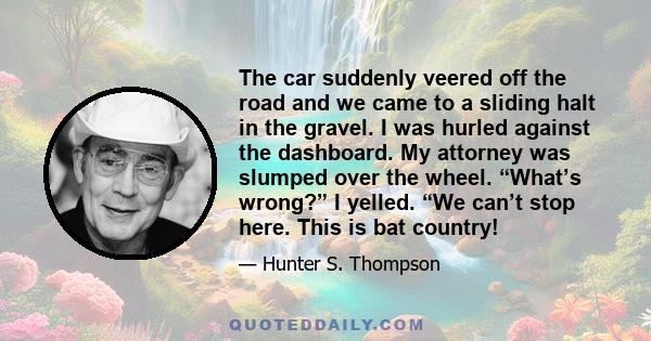 The car suddenly veered off the road and we came to a sliding halt in the gravel. I was hurled against the dashboard. My attorney was slumped over the wheel. “What’s wrong?” I yelled. “We can’t stop here. This is bat