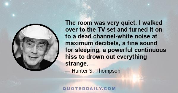 The room was very quiet. I walked over to the TV set and turned it on to a dead channel-white noise at maximum decibels, a fine sound for sleeping, a powerful continuous hiss to drown out everything strange.