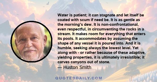 Water is patient; it can stagnate and let itself be coated with scum if need be. It is as gentle as the morning's dew. It is non-confrontational, even respectful, in circumventing the rocks in a stream. It makes room