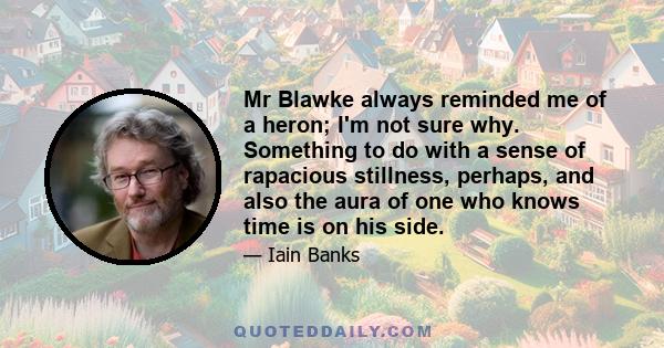 Mr Blawke always reminded me of a heron; I'm not sure why. Something to do with a sense of rapacious stillness, perhaps, and also the aura of one who knows time is on his side.