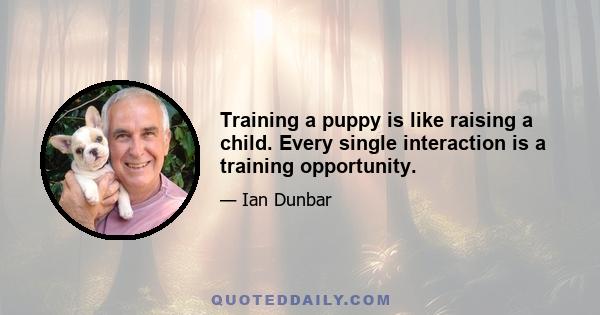 Training a puppy is like raising a child. Every single interaction is a training opportunity.