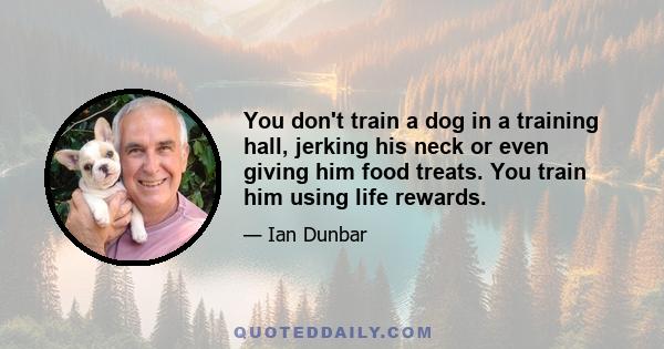 You don't train a dog in a training hall, jerking his neck or even giving him food treats. You train him using life rewards.