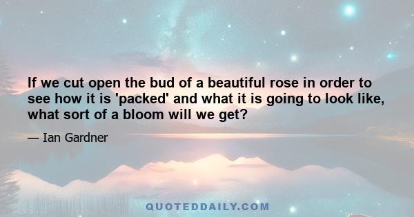 If we cut open the bud of a beautiful rose in order to see how it is 'packed' and what it is going to look like, what sort of a bloom will we get?