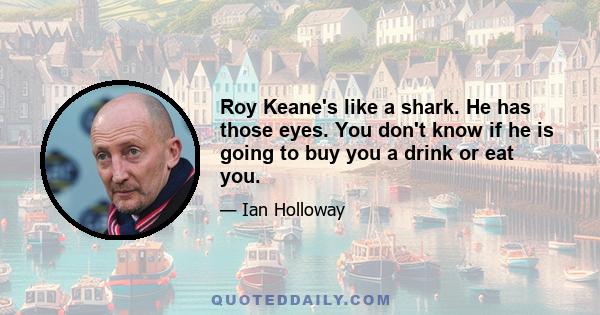 Roy Keane's like a shark. He has those eyes. You don't know if he is going to buy you a drink or eat you.