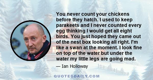 You never count your chickens before they hatch. I used to keep parakeets and I never counted every egg thinking I would get all eight birds. You just hoped they came out of the nest box looking all right. I'm like a