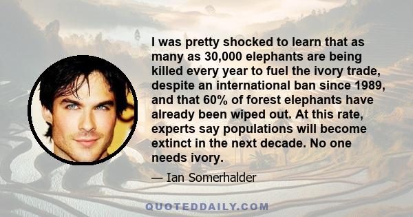 I was pretty shocked to learn that as many as 30,000 elephants are being killed every year to fuel the ivory trade, despite an international ban since 1989, and that 60% of forest elephants have already been wiped out.