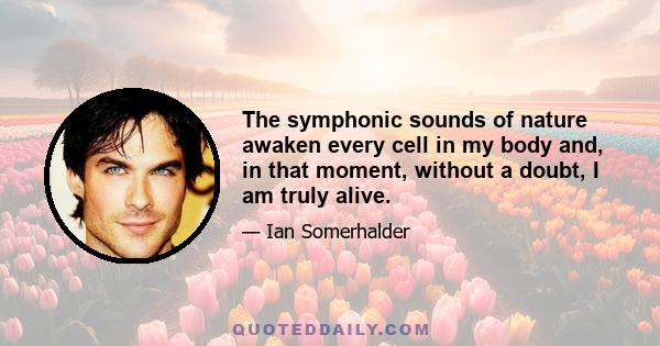 The symphonic sounds of nature awaken every cell in my body and, in that moment, without a doubt, I am truly alive.