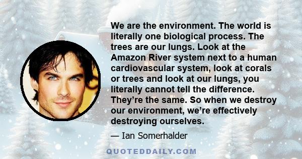 We are the environment. The world is literally one biological process. The trees are our lungs. Look at the Amazon River system next to a human cardiovascular system, look at corals or trees and look at our lungs, you