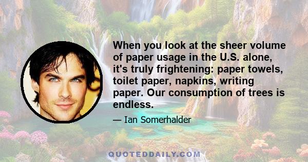 When you look at the sheer volume of paper usage in the U.S. alone, it's truly frightening: paper towels, toilet paper, napkins, writing paper. Our consumption of trees is endless.