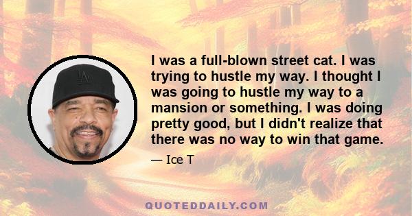 I was a full-blown street cat. I was trying to hustle my way. I thought I was going to hustle my way to a mansion or something. I was doing pretty good, but I didn't realize that there was no way to win that game.