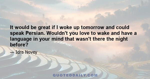 It would be great if I woke up tomorrow and could speak Persian. Wouldn't you love to wake and have a language in your mind that wasn't there the night before?