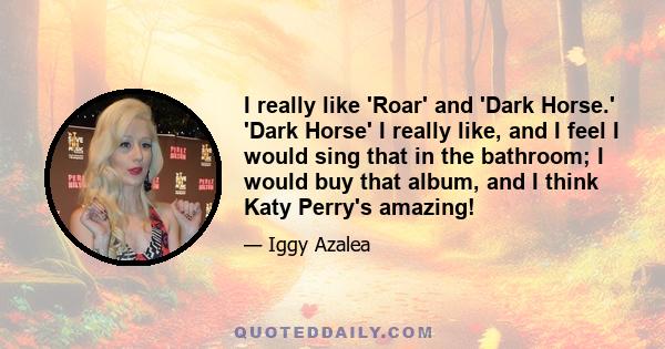 I really like 'Roar' and 'Dark Horse.' 'Dark Horse' I really like, and I feel I would sing that in the bathroom; I would buy that album, and I think Katy Perry's amazing!