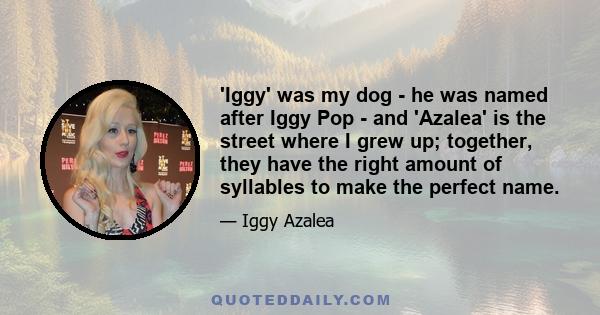 'Iggy' was my dog - he was named after Iggy Pop - and 'Azalea' is the street where I grew up; together, they have the right amount of syllables to make the perfect name.