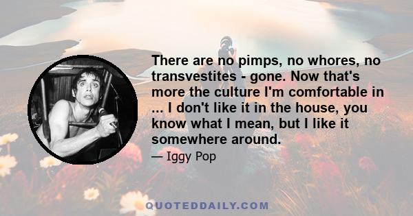 There are no pimps, no whores, no transvestites - gone. Now that's more the culture I'm comfortable in ... I don't like it in the house, you know what I mean, but I like it somewhere around.