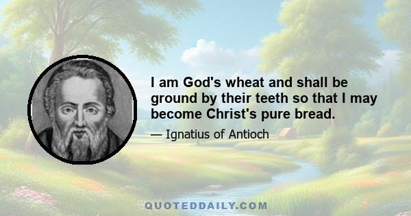 I am God's wheat and shall be ground by their teeth so that I may become Christ's pure bread.