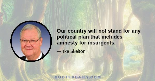 Our country will not stand for any political plan that includes amnesty for insurgents.