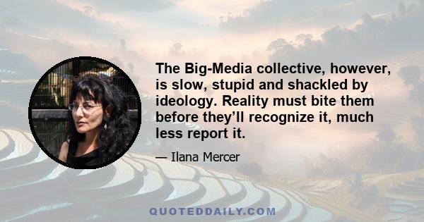 The Big-Media collective, however, is slow, stupid and shackled by ideology. Reality must bite them before they’ll recognize it, much less report it.