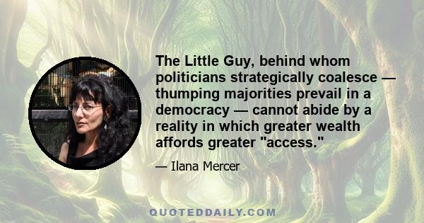 The Little Guy, behind whom politicians strategically coalesce — thumping majorities prevail in a democracy — cannot abide by a reality in which greater wealth affords greater access.