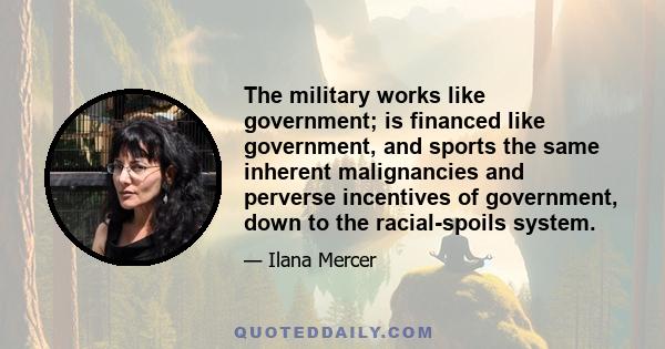 The military works like government; is financed like government, and sports the same inherent malignancies and perverse incentives of government, down to the racial-spoils system.