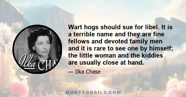 Wart hogs should sue for libel. It is a terrible name and they are fine fellows and devoted family men and it is rare to see one by himself; the little woman and the kiddies are usually close at hand.