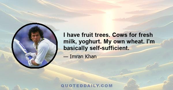 I have fruit trees. Cows for fresh milk, yoghurt. My own wheat. I'm basically self-sufficient.