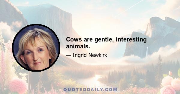 Cows are gentle, interesting animals.