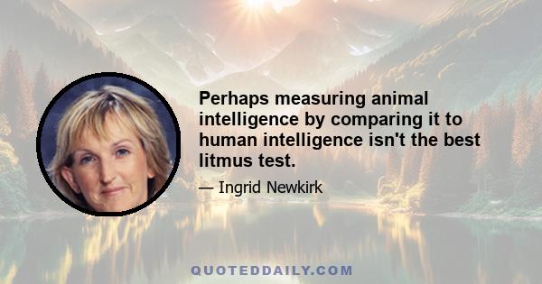 Perhaps measuring animal intelligence by comparing it to human intelligence isn't the best litmus test.