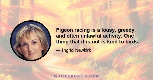 Pigeon racing is a lousy, greedy, and often unlawful activity. One thing that it is not is kind to birds.