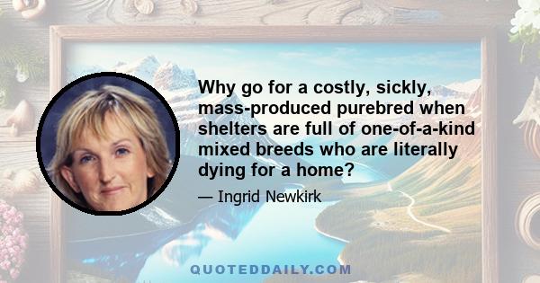 Why go for a costly, sickly, mass-produced purebred when shelters are full of one-of-a-kind mixed breeds who are literally dying for a home?