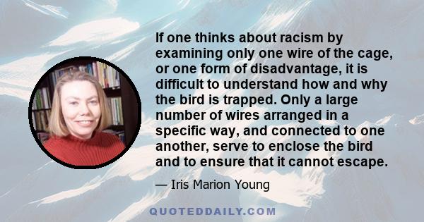 If one thinks about racism by examining only one wire of the cage, or one form of disadvantage, it is difficult to understand how and why the bird is trapped. Only a large number of wires arranged in a specific way, and 