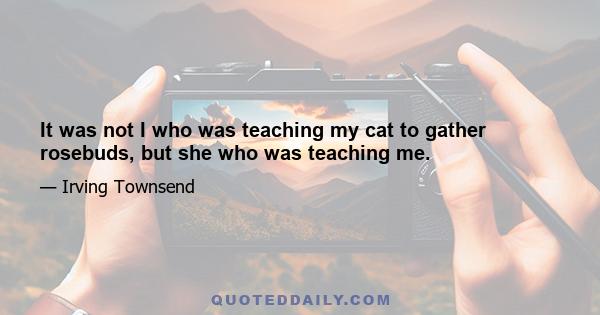 It was not I who was teaching my cat to gather rosebuds, but she who was teaching me.