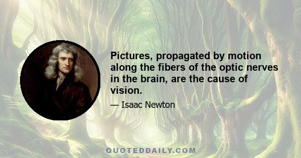 Pictures, propagated by motion along the fibers of the optic nerves in the brain, are the cause of vision.