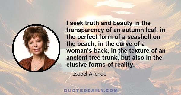 I seek truth and beauty in the transparency of an autumn leaf, in the perfect form of a seashell on the beach, in the curve of a woman's back, in the texture of an ancient tree trunk, but also in the elusive forms of