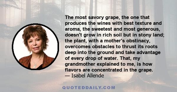 The most savory grape, the one that produces the wines with best texture and aroma, the sweetest and most generous, doesn't grow in rich soil but in stony land; the plant, with a mother's obstinacy, overcomes obstacles